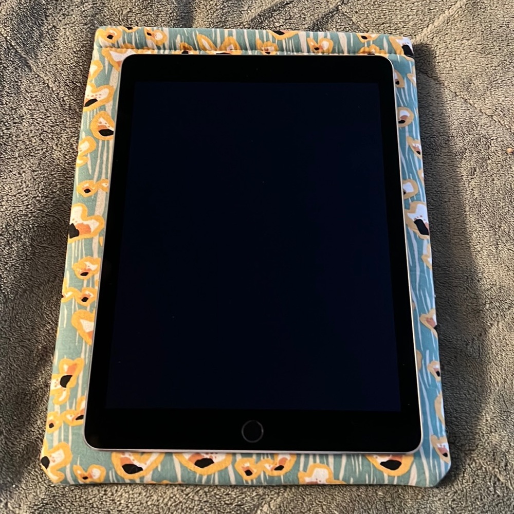 Apple iPad Air 2 (EUC)